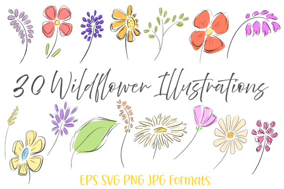 30 Wildflowers Flower Hand Drawn Clipart for Natural Branding