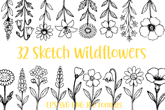 32 Wildflower Floral Sketch Illustration: A Creative Resource for Nature-Inspired Design