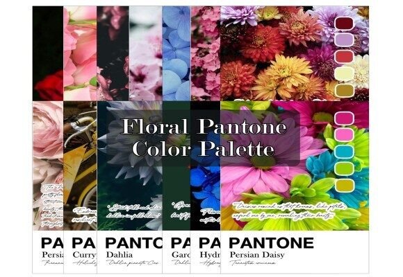 How Floral Pantone Color Swatches Are Reshaping Modern Design Strategy