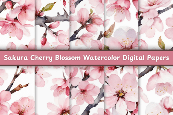 Sakura Cherry Blossom Watercolor for Modern Creatives